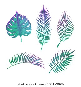 Hand drawn vector illustration - Palm leaves. Tropical design elements