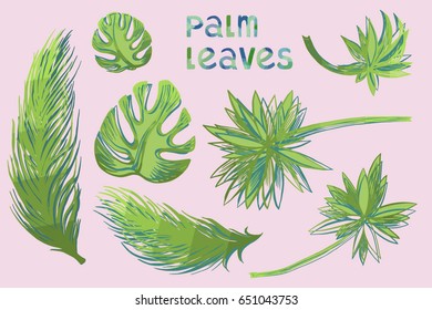Hand drawn vector illustration with palm leaves in engraved style. signed with watercolor letters.