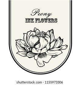 Hand drawn vector illustration. Peony flower black line ink Sketch. Logo design.