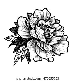Hand drawn vector illustration - Peony flower. Floral Tattoo sketch. Perfect for tattooing, invitations, greeting cards, quotes, blogs, posters etc. 