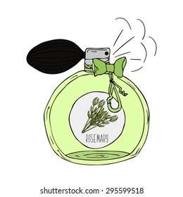 Hand Drawn vector illustration of a perfume bottle with the scent of rosemary