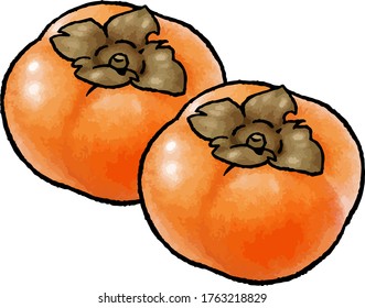 Hand drawn vector illustration of persimmon