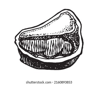 Hand drawn vector illustration of piece of meat