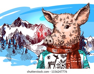 Hand drawn vector illustration pig sketch. Symbol of new year 2019