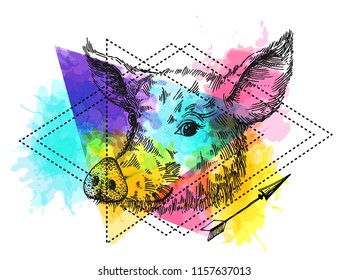 Hand drawn vector illustration pig sketch. Symbol of new year 2019