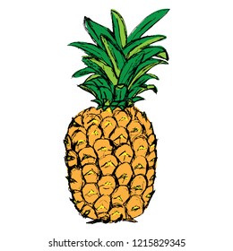 Ilustración vectorial dibujada a mano - Piña. Fruta tropical exótica. Esbozo. Objeto aislado en blanco