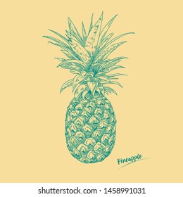 Hand drawn vector illustration pineapple by retro  and vintage ink flat style, engraved simple doodle sketches. 