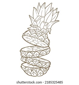 Hand drawn vector illustration - Pineapple cut in slices. Exotic tropical fruit. Sketch. Outline. Perfect for tattooing, invitations, greeting cards, blogs, posters etc.