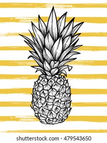 Hand drawn vector illustration - Pineapple with striped background. Exotic tropical fruit. Sketch. Outline. Pop art. Perfect for invitations, greeting cards, blogs, posters etc.