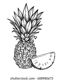 Hand drawn vector illustration - Pineapple. Exotic tropical fruit.