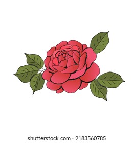 handgezeichnet Vektorgrafik einer rosafarbenen Blume