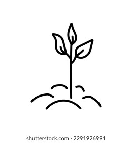 Hand drawn vector illustration of plant sprout. Isolated on white background