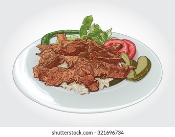 Hand drawn vector illustration of a Plate of Doner Kebab with rice, green pepper, salad, tomato and pickles.