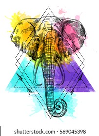 Hand drawn vector illustration portrait of elephant. Sketch style drawing.