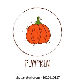 Hand drawn vector illustration of a pumpkin with round frame and inscription - Vegetable icon isolated
