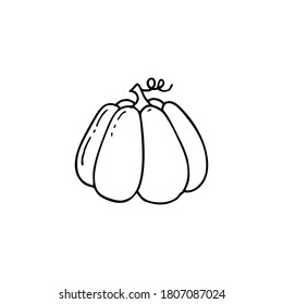 Hand drawn vector illustration of  pumpkin. Element for your cards, posters, stickers and seasonal design.