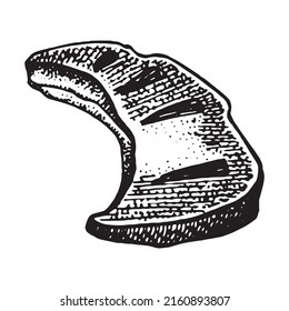 Hand drawn vector illustration of Raw meat