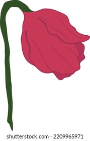 Hand drawn vector illustration of red flower isolated on white background