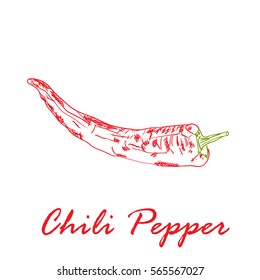 Hand drawn vector illustration of red hot chili pepper isolated on white background