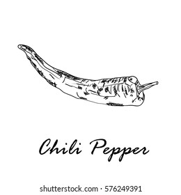 Hand drawn vector illustration of red hot chili pepper isolated on white