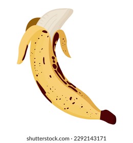 ilustración vectorial hecha a mano de un delicioso plátano orgánico maduro pelado con piel amarilla cubierta de puntos marrones para el diseño exótico de alimentos de frutas vegetarianas aislado en fondo blanco