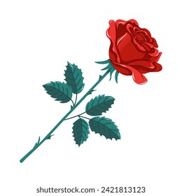 Hand drawn vector illustration of a rose bud. Red rose flower with stem and leaves