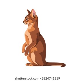 Hand Drawn Vector Illustration of a Ruddy Abyssinian Cat Sitting Upright Isolated on White Background