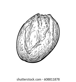 Hand drawn vector illustration of rustic bread. Isolated on white background. Retro style.