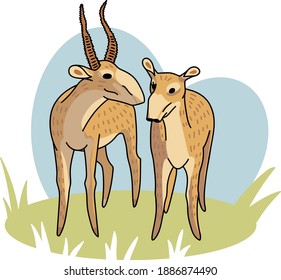 Ilustración vectorial dibujada a mano del antílope saiga. Doodle de animales salvajes en peligro de extinción. Saigas macho y hembra en un campo verde redondo.