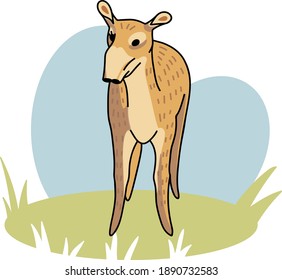Hand drawn vector illustration of saiga antelope. Doodle of endangered wild animal.Female saigas on a round green field.