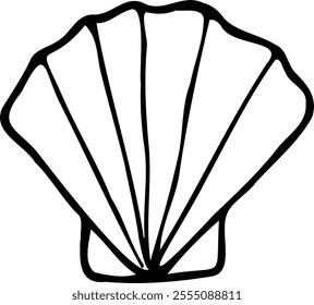 Hand drawn vector illustration of scallop in line art style isolated on a white background.