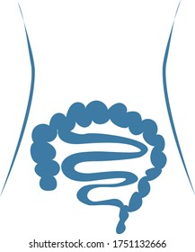 Hand drawn vector illustration. Schematic representation of the intestine, internal organs of the peritoneum in the human body