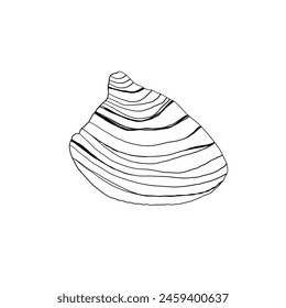 Ilustración vectorial dibujada a mano del mar Concha en fondo aislado. arte de la línea