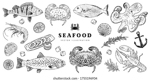 Hand drawn vector illustration of seafood