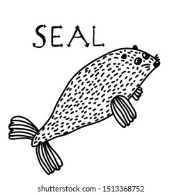 Hand drawn vector illustration with a seal. Black and white illustration of animal.