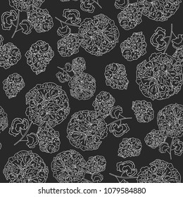 Hand drawn vector illustration seamless pattern white geranium on the black background