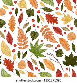 Hand drawn vector illustration. Seamless pattern with fall leaves. Forest background. Colors of Autumn