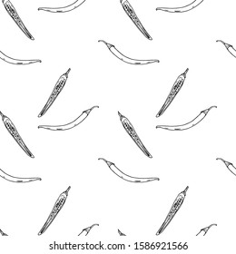 Hand drawn vector illustration. Seamless pattern with pepper sketch, drawing, simple, easy, elementary, primitive, black lines on white. For kitchen decor, menu, vegetarian, vegan cafe.