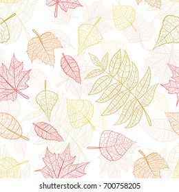 Hand drawn vector illustration. Seamless background autumn leaves with veins. Forest design elements. Pattern.