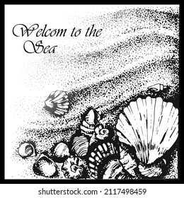 Hand drawn vector illustration. Seashells on the sand