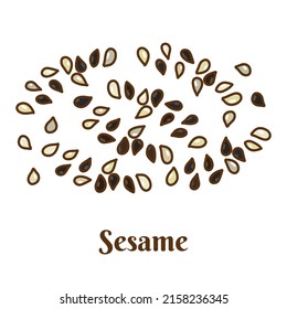 Hand drawn vector illustration of sesame isolated on white background.