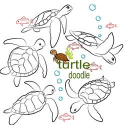  Hand Drawn Vector Illustration. Set Character Design Of Cute Turtle Doodle Style.