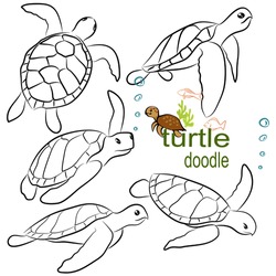  Hand Drawn Vector Illustration. Set Character Design Of Cute Turtle Doodle Style.