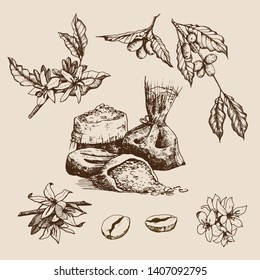 Hand drawn vector illustration. Set of vintage design elements.