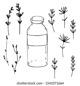Hand drawn vector illustration. Set of bottles, wildflowers, herbs. Sketch, black lines on a white background, simplified silhouettes, native. For decoration of eco-friendly products, perfumes, handma
