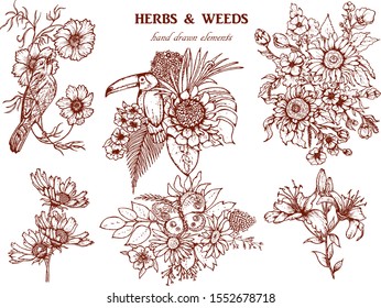 Hand drawn vector illustration set with branch, flowers, bird, butterfly.