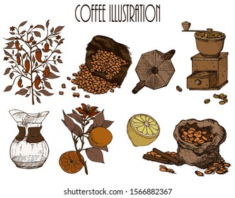 Hand drawn vector illustration set with branch, coffee beans, cup, bag, lemon.
