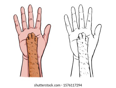 Hand drawn vector illustration set. Human hand and cat's paw. Love for animals сoncept. Adored Pets. Monochrome and colored elements isolated on white. Collection of prints in engraving vintage style.