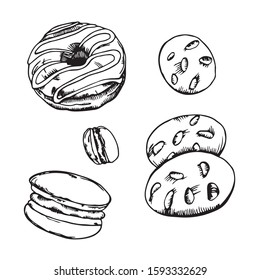 Hand drawn vector illustration. Set of delicious donuts, macaroons and cookies. Sketch. Sweet desserts.