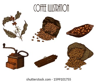 Hand drawn vector illustration set with coffee beans, cup, cocoa